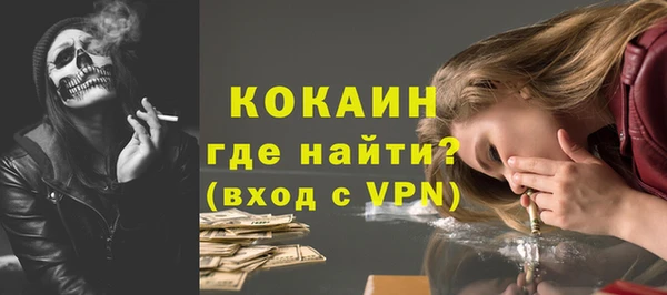 мдпв Кодинск