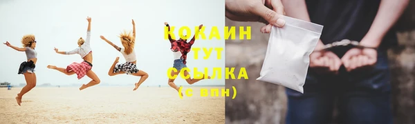 мдпв Кодинск