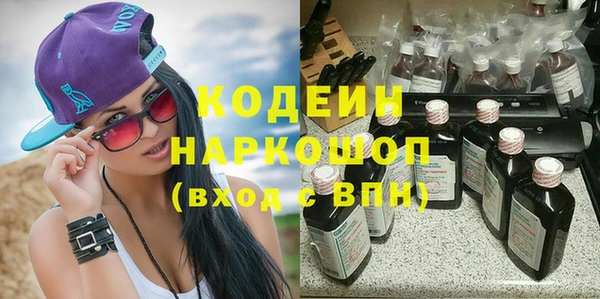 мдпв Кодинск
