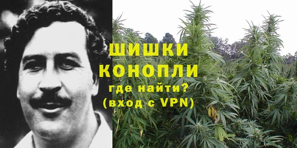 мдпв Кодинск