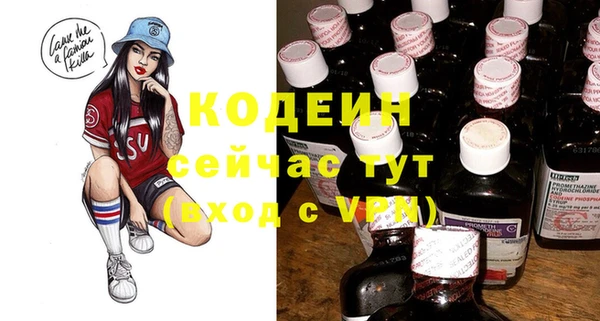 мдпв Кодинск