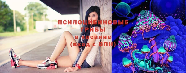 марки lsd Козельск